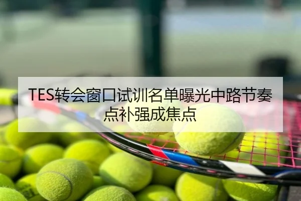 TES转会窗口试训名单曝光中路节奏点补强成焦点